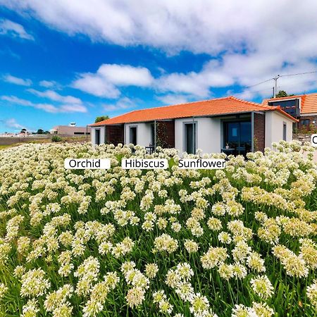 شقة Ourmadeira - Quinta Inacia, Countryside Escape كالهيتا المظهر الخارجي الصورة